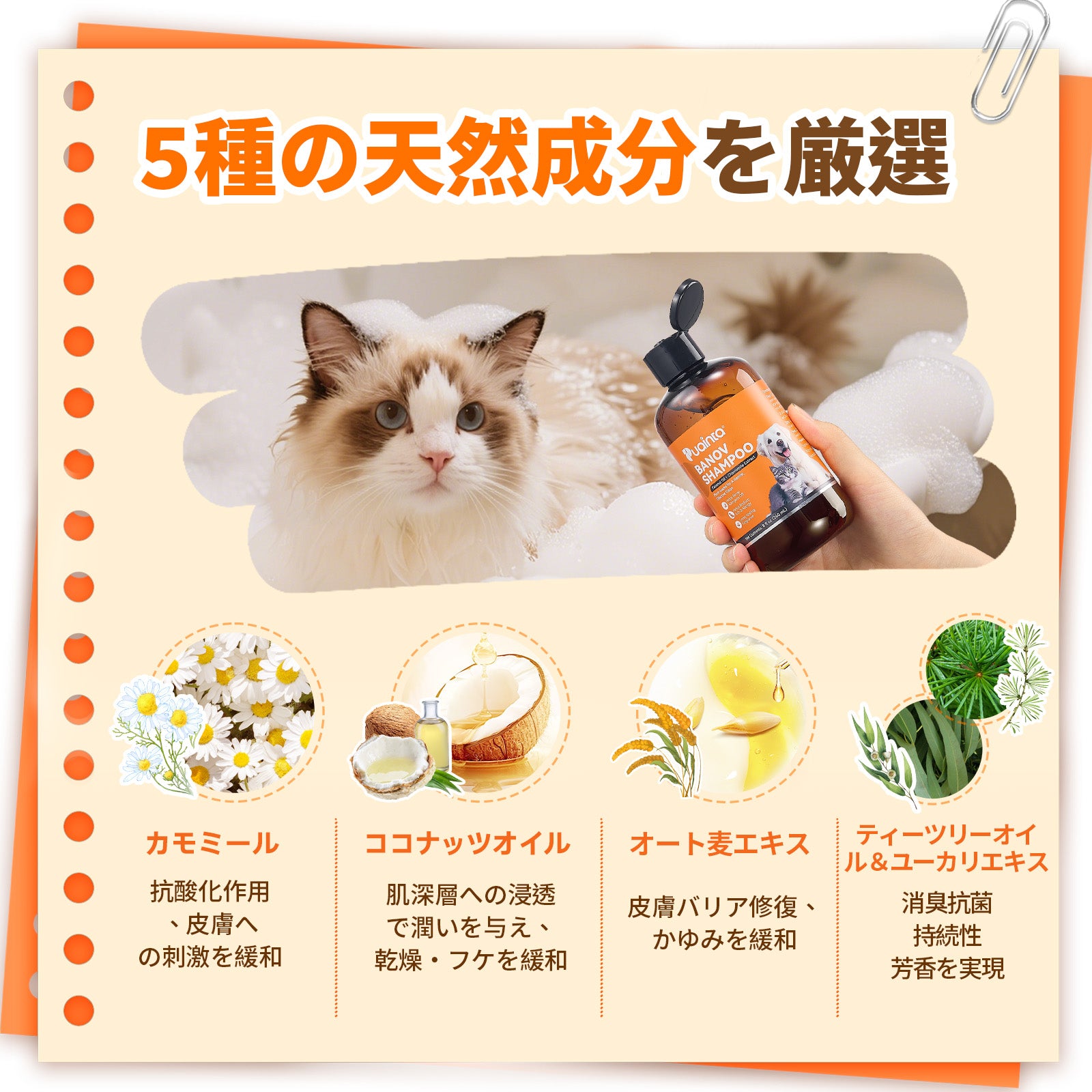 プアインタ Banov シャンプー 犬・猫用