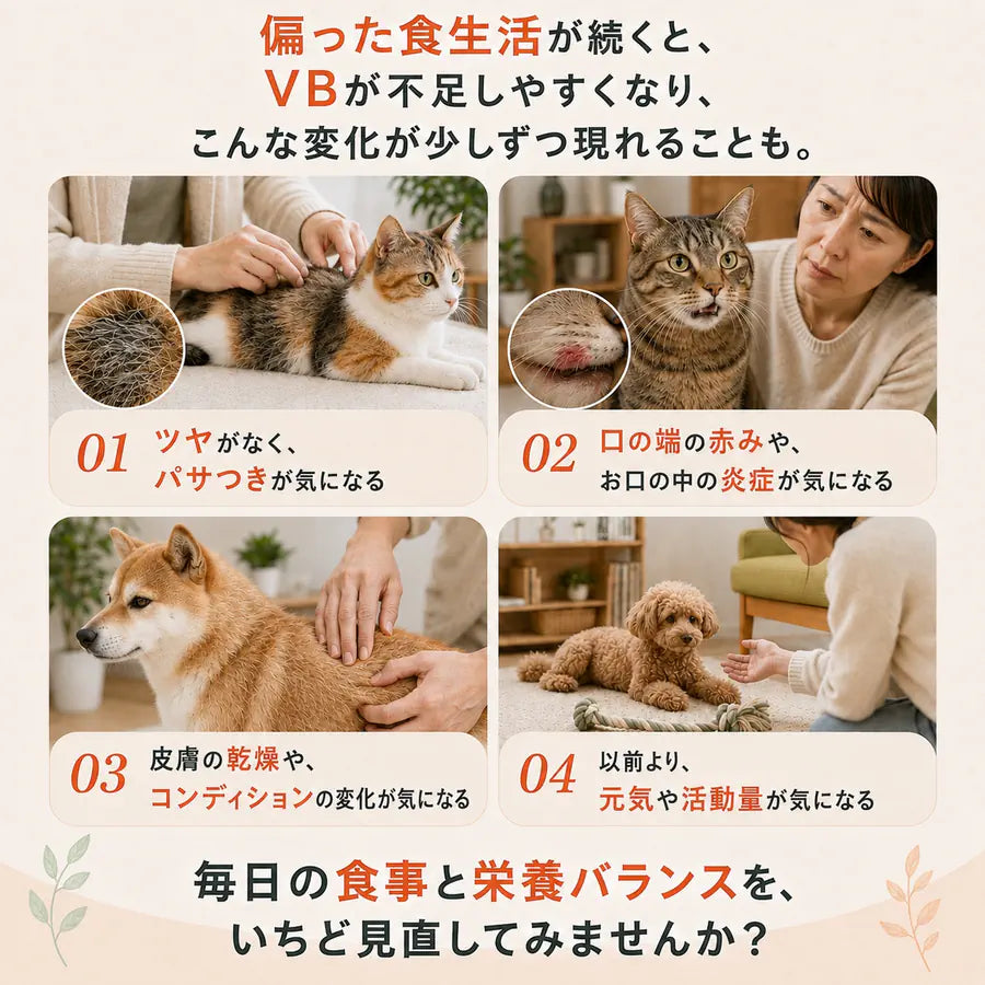 プアインタ 犬・猫用 VBリキッド 30mL｜3種の配合成分で毎日の栄養補給