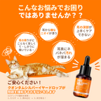 プアインタ 量子銀イヤードロップ 犬・猫用