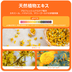 プアインタ イヤークリーナー やさしい耳ケア（犬猫用）
