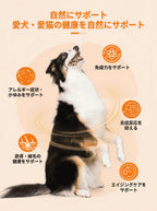 プアインタ-クリル＆フィッシュオイル オメガ3 25%｜DHA・EPA・ビタミンA・E配合 犬猫用