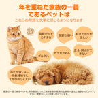 【犬猫兼用/全年齢対応】対応】プアインタ 関節 コンドロイチン  グルコサミン MSM