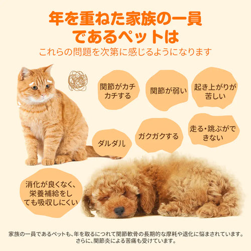 【犬猫兼用/全年齢対応】対応】プアインタ 関節 コンドロイチン  グルコサミン MSM