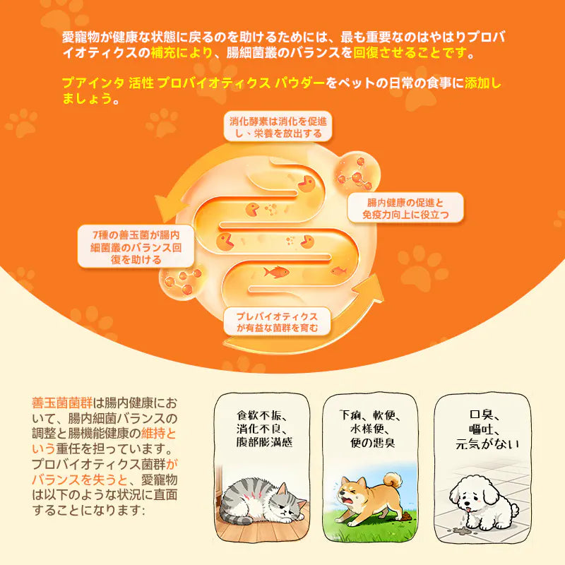 プアインタ活性プロバイオティクス パウダー