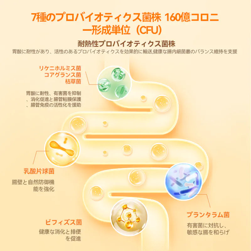 【毛玉・お腹のWケア】プアインタ 猫用 毛玉ケアタブレット ＆ 乳酸菌セット