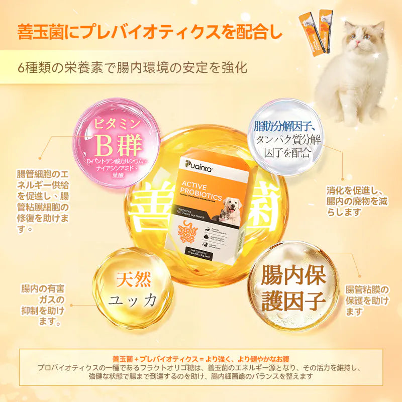【毛玉・お腹のWケア】プアインタ 猫用 毛玉ケアタブレット ＆ 乳酸菌セット