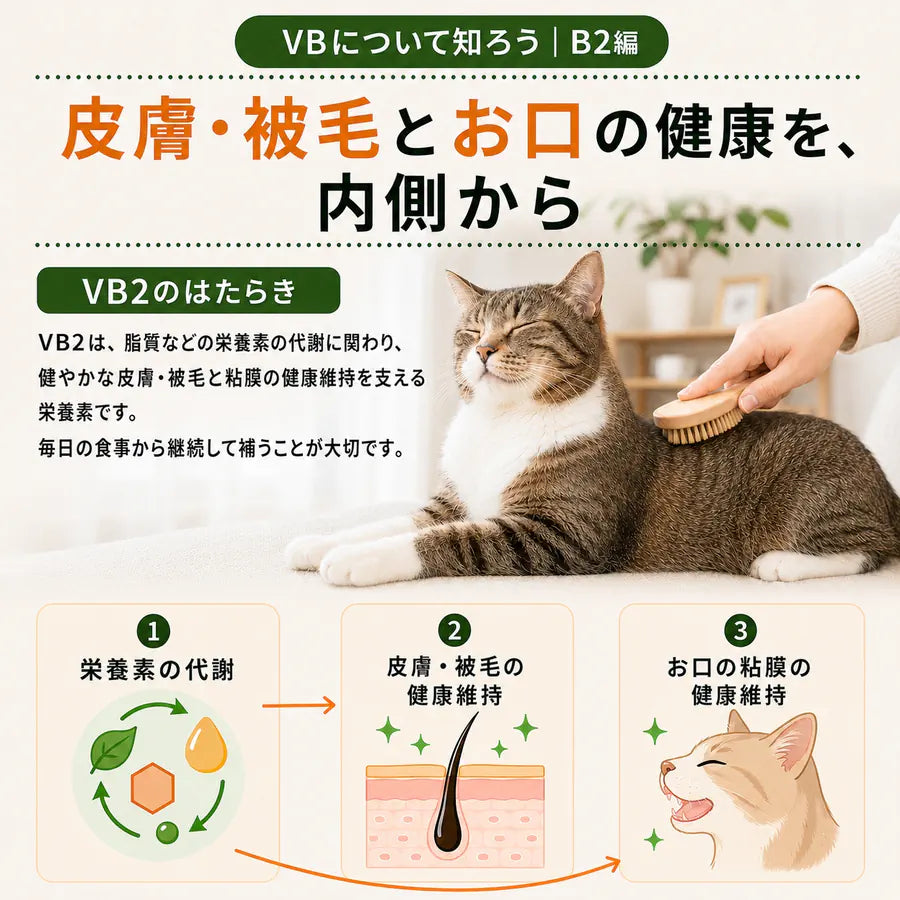プアインタ 犬・猫用 VBリキッド 30mL｜3種の配合成分で毎日の栄養補給
