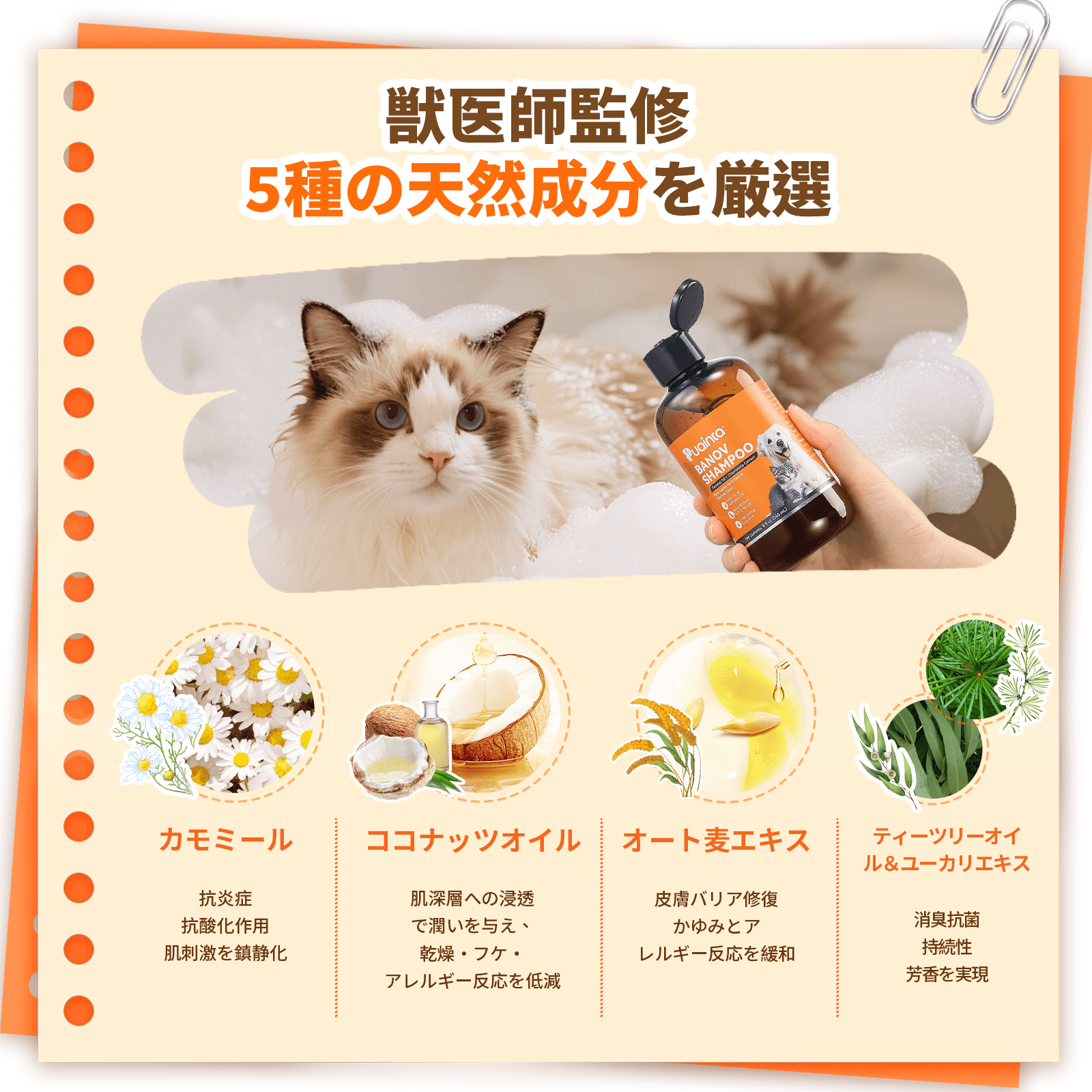 プアインタ Banov シャンプー.