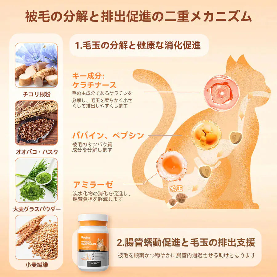 【毛玉・お腹のWケア】プアインタ 猫用 毛玉ケアタブレット ＆ 乳酸菌セット