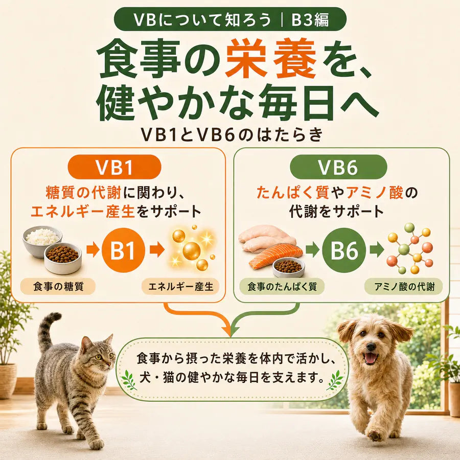 プアインタ 犬・猫用 VBリキッド 30mL｜3種の配合成分で毎日の栄養補給