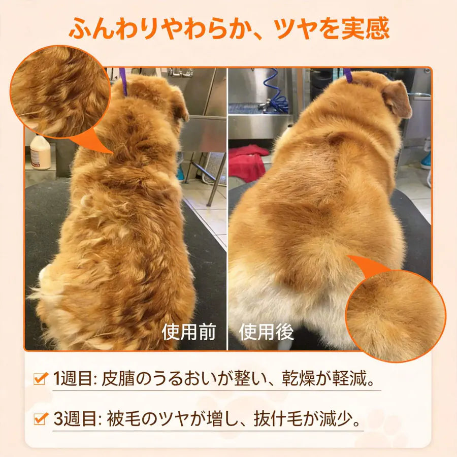 プアインタ-クリル＆フィッシュオイル オメガ3 25%｜DHA・EPA・ビタミンA・E配合 犬猫用