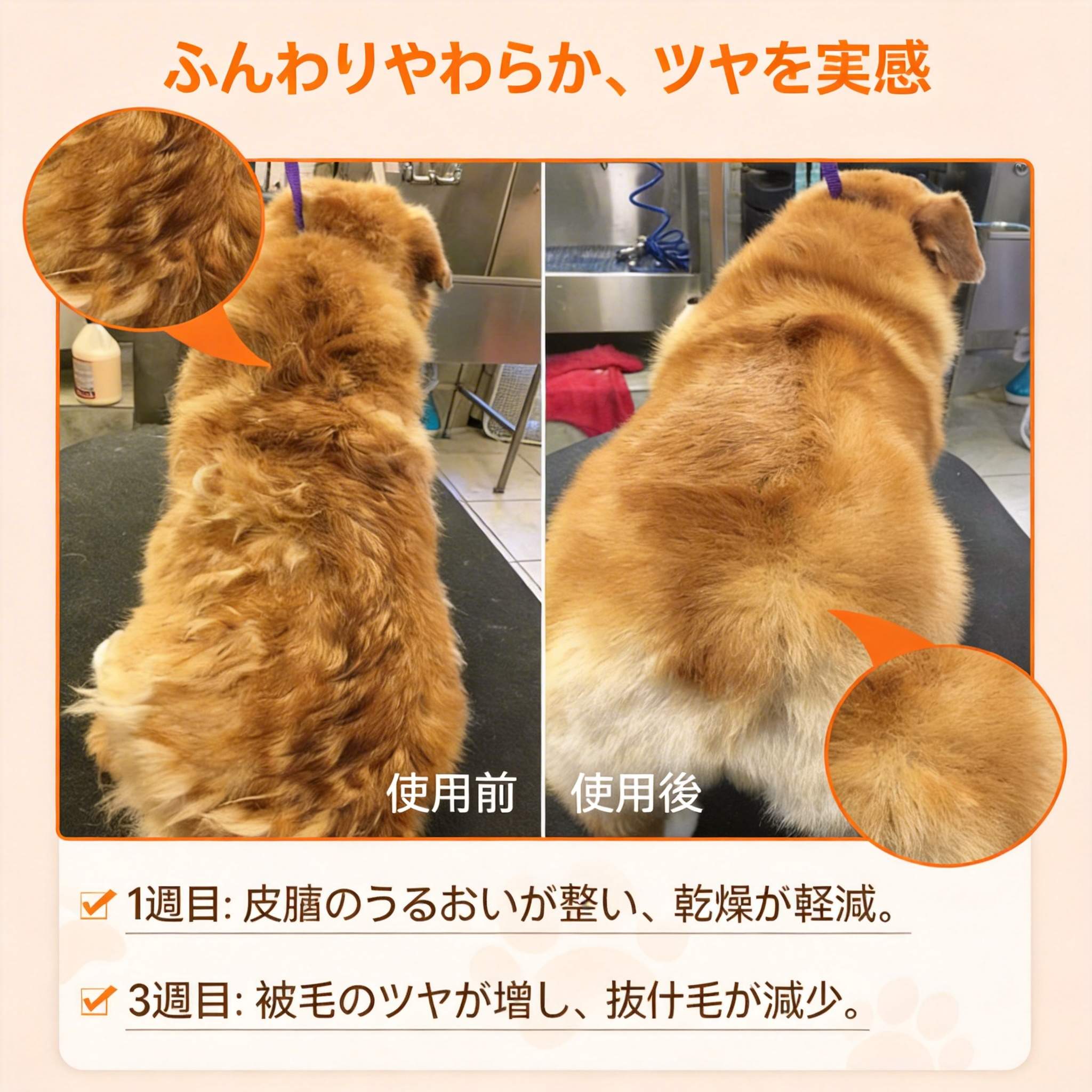 プアインタ-クリル＆フィッシュオイル オメガ3 25%｜DHA・EPA・ビタミンA・E配合 犬猫用