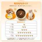 プアインタ マルチビタミン