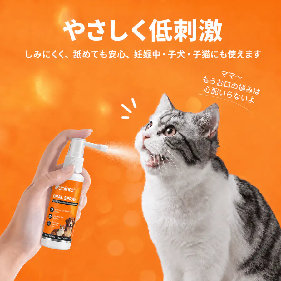 プアインタ 楽ね クチ スプレー｜ロングノズルで奥歯まで毎日ケア  犬猫用