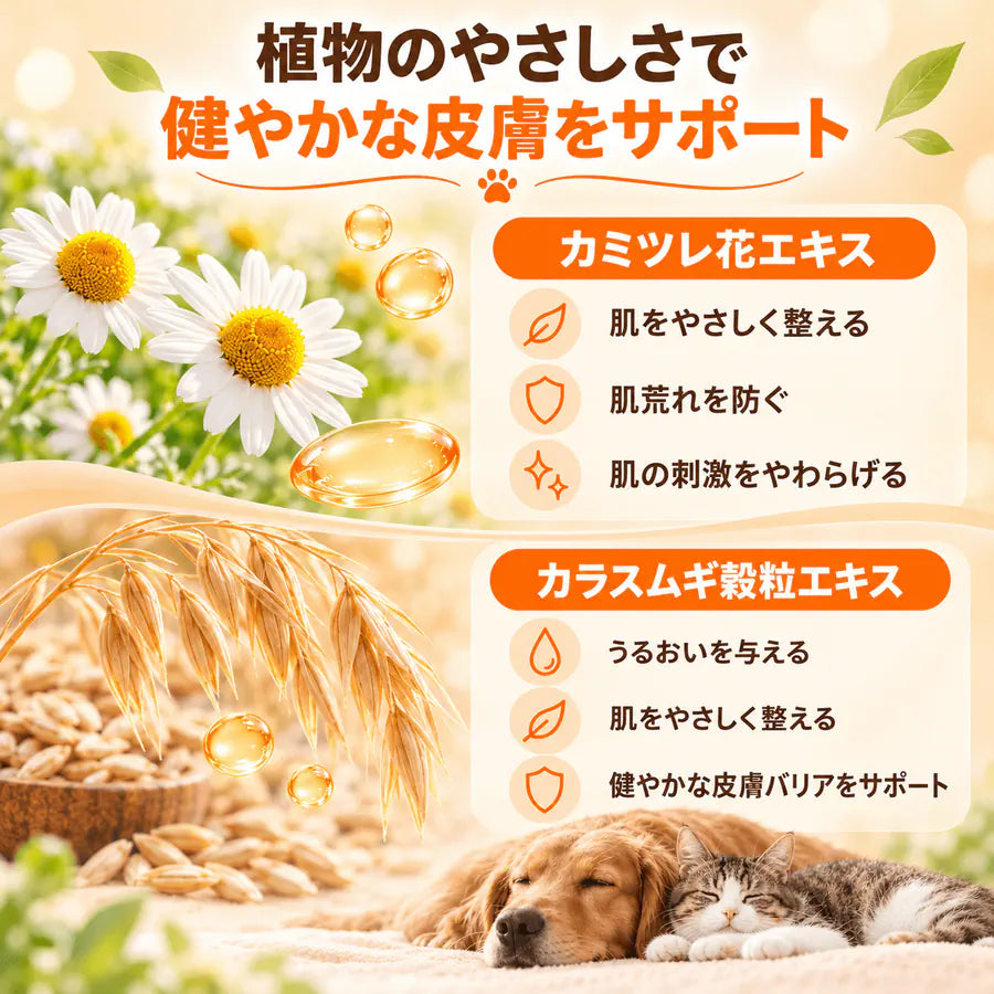 梅雨のスキン＆足裏ケア福袋｜プアインタ 肉球クリーム ＆量子銀スプレー 犬猫用