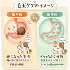 もう毛玉で悩まない｜プアインタ 猫用毛玉ケアタブレット.